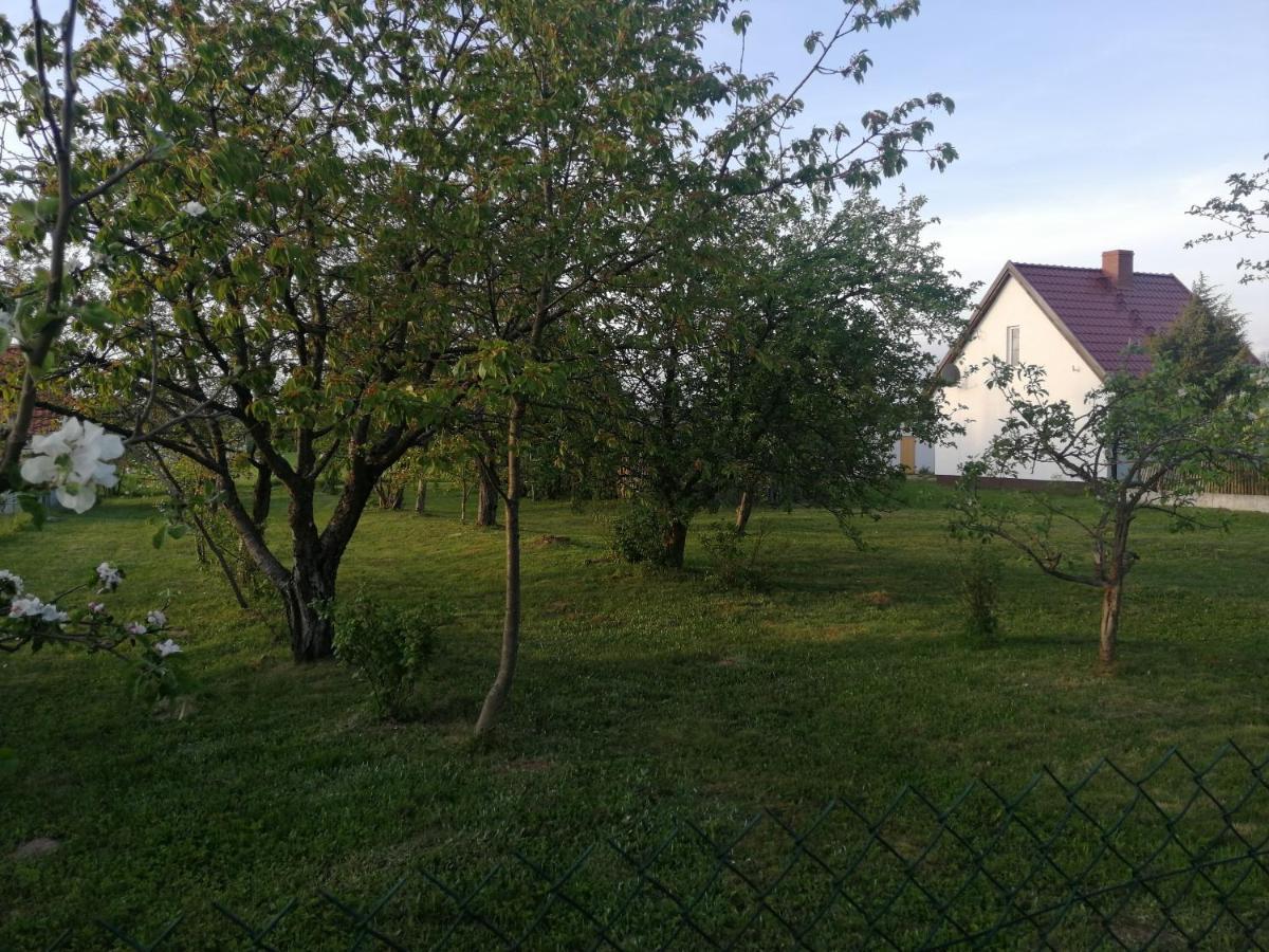 Villa Sleeping Harsz Extérieur photo